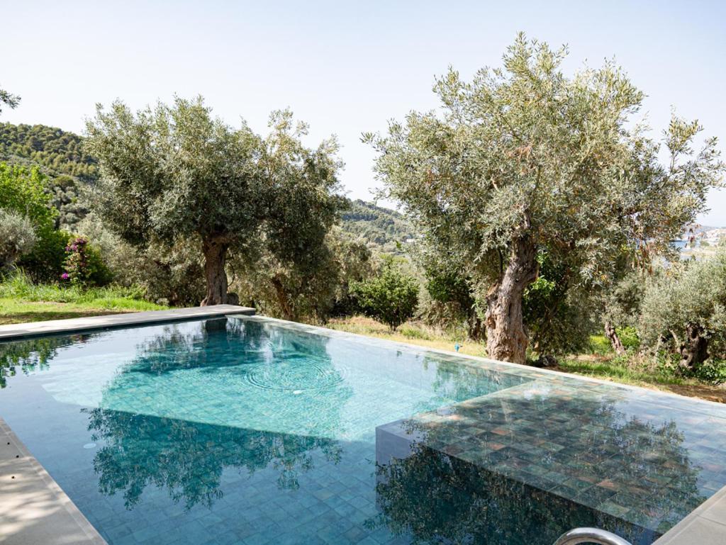 Dohos Skiathos Suites Ksanemos Exterior photo